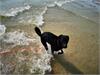 IMG_20190619_162021