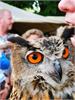 IMG_20190720_114956