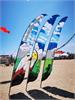 IMG_20190601_143954_1