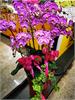 008-IMG_20191017_202656