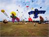 IMG_20191019_101303_1