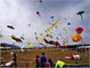IMG_20191019_104424_1