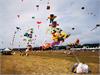 IMG_20191019_104953