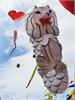 IMG_20191019_113500
