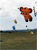 IMG_20191020_101958