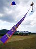 IMG_20191020_102041