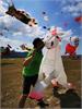IMG_20191020_111326