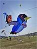 IMG_20191026_134216