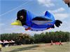 IMG_20191026_134307
