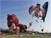 IMG_20191026_153717