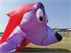 IMG_20191027_111853