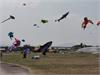 IMG_20191027_112625