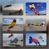 CollageMaker_20200623_103436206