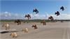 DJI_0901