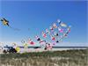 IMG-20200615-WA0006