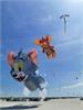 IMG-20200617-WA0004
