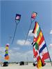 IMG_20200624_140218